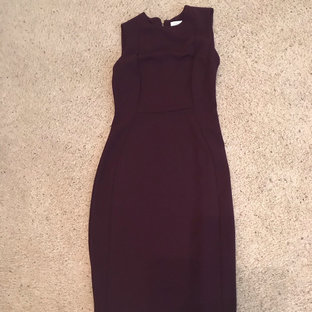 NWOT Calvin Klein Professional Dress